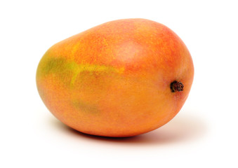 Mango on a white background