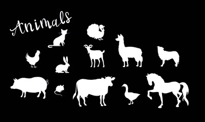 Farm animals, chicken, cat, pig, cow, sheep, turkey, dog, rabbit vector chalk isolated design elements on black background. Concept for logo, print, cards, menu 