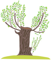 Illustration picture of a green tree in spring