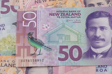 Close-up of New Zealand 50$ dollars banknotes, Macro shot of New Zealand currency.