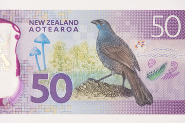 Close-up of New Zealand 50$ dollars banknotes, Macro shot of New Zealand currency.