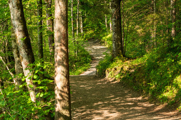 Wanderweg am Seeufer