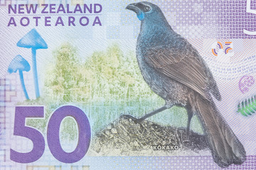 Close-up of New Zealand 50$ dollars banknotes, Macro shot of New Zealand currency.