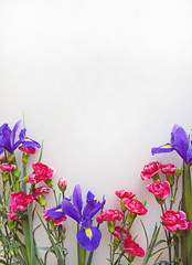 Mixed bouquet of pink carnations and bright purple irises lying on a light grey vertical background. Template for greeting card for a birthday, wedding or mother's day. Place for text (copy space).