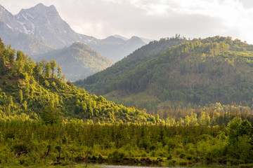 Obraz premium Waldlandschaft am Almsee in Oberösterreich