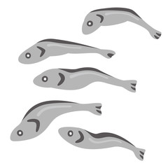 いりこ にぼし ベクター イラスト