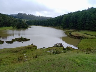 Obraz premium lake in the forest
