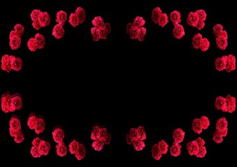 Red rose on a black background