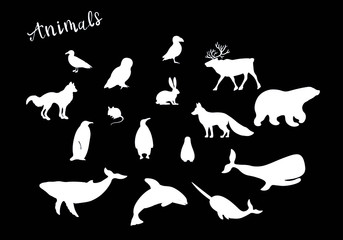 Arctic animals silhouette , fox, wolf, owl, bear, whale, hare, reindeer chalk vector isolated design elements on black background. Concept for logo, icon, print