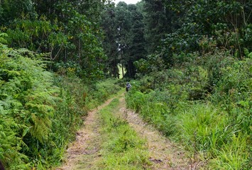 A group of hikers in the forest against a mountain in rural Kenya