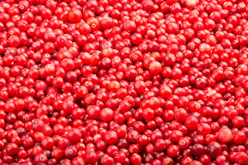 Frozen fresh cranberry. Food background. Top view.