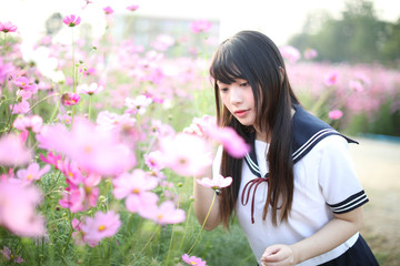 Portrait of Japanese school girl uniform with pink cosmos flower