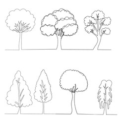vector, isolated, continuous line drawing tree grows, sketch