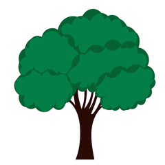 isolated, in a flat style green tree