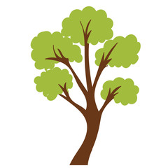 Obraz premium vector, isolated, in a flat style green tree