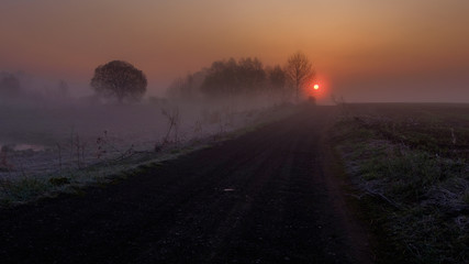 
road to foggy dawn