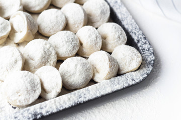 Fototapeta na wymiar dumplings lie on a tray, sprinkled with flour, sculpt dumplings