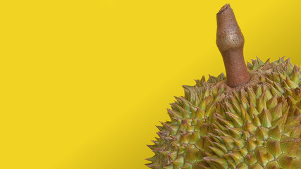 Photos of half of the fresh durian on a yellow background