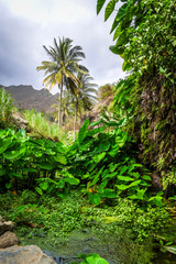 Obraz premium Paul Valley landscape in Santo Antao island, Cape Verde