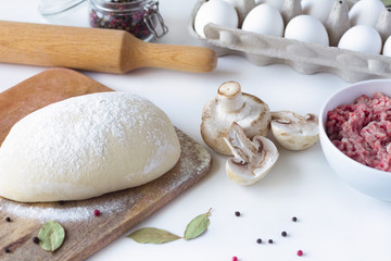 on a white background lies dough, minced meat, mushrooms and spices. sculpt dumplings