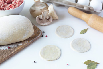 on white background lay blanks for modeling dumplings: tortillas, minced meat, mushrooms and spices. sculpt dumplings