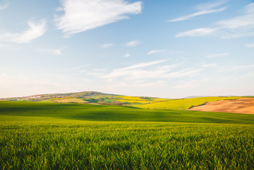 Fototapeta premium Tranquil rural landscape in sunbeams. Location place of South Moravia, Czech Republic, Europe.