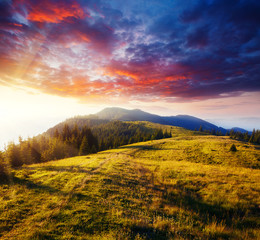 Naklejka na ściany i meble Idyllic panorama of misty mountains. Location place of Carpathians mountains, Ukraine.