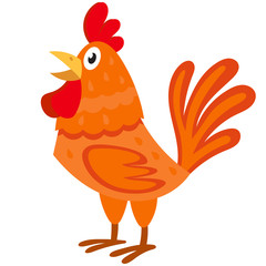Cock side view. Farm animal in cartoon style.