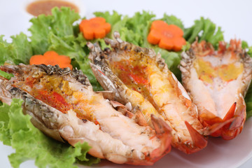 Grilled prawn isolated in white background