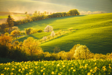 Tranquil rural landscape in sunbeams. Location place of South Moravia, Czech Republic, Europe.