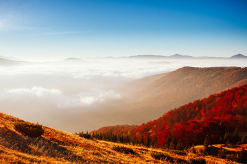 Majestic view of the mountains covered with thick fog.