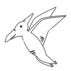 プテラノドン © アメノ