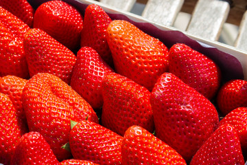 Strawberry. Fresh organic berries macro. Fruit background. Full frame. Shallow focus.