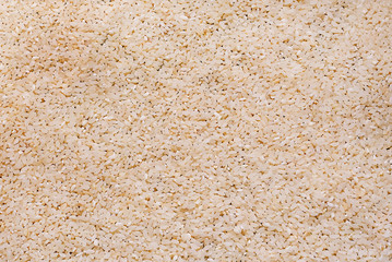 Rice dry food close up, texture.Organic White Rice. Background.Sale,cooking