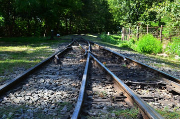 Fototapeta premium old railroad tracks in the forest