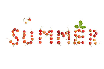 The text summer lined with strawberries isolated on white background.  Berry inscription. A leaf over the letter E. Flat view. Forest strawberry.