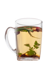 Still life cup with herbal tea isolated on white background. Strawberry leaves and berries are floating in the cup. Side view. Vertical.