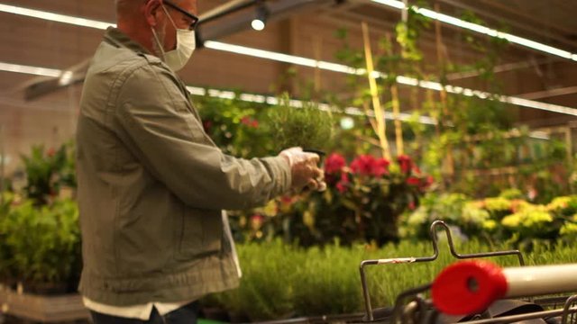 Senior citizen picks a flower in a pot. Ederly masked man in gloves is shopping at the supermarket. Shopping during quarantine, senior citizen at the supermarket during lockdown