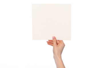 Fototapeta premium Woman's hand showing white paper banner isolated on white