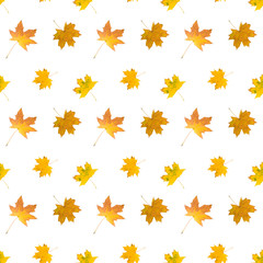 yellow leaves seamless pattern on white background