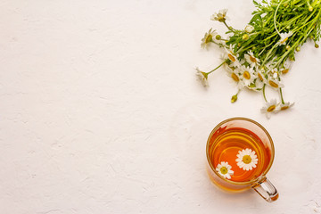 Chamomile tea. Fresh flowers, summer hot drink concept. Alternative medicine, lifestyle