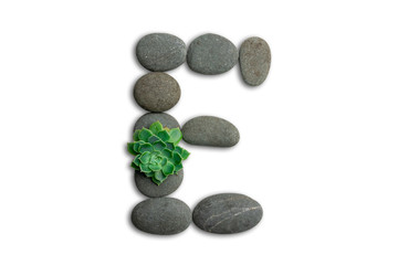 Alphabet letters made of beach stones or ocean stones with Sempervivum isolated on white background.Concept about ECO alphabet With clipping path.