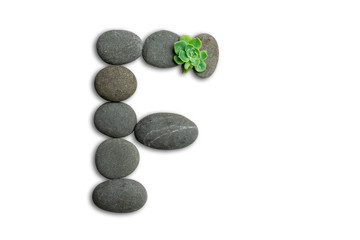 Alphabet letters made of beach stones or ocean stones with Sempervivum isolated on white background.Concept about ECO alphabet With clipping path.