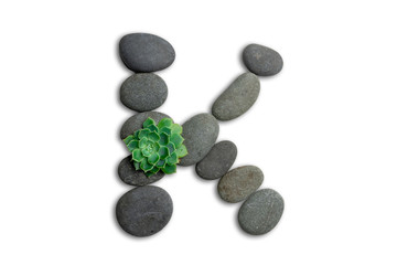 Alphabet letters made of beach stones or ocean stones with Sempervivum isolated on white background.Concept about ECO alphabet With clipping path.