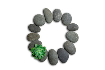 Alphabet letters made of beach stones or ocean stones with Sempervivum isolated on white background.Concept about ECO alphabet With clipping path.