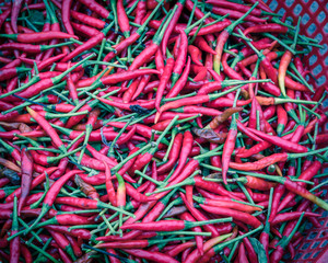 Filtered image group of red hot chili peppers in plastic basket at farmer market in Vietnam