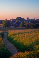 Fototapete bei efototapeten.de bestellen   