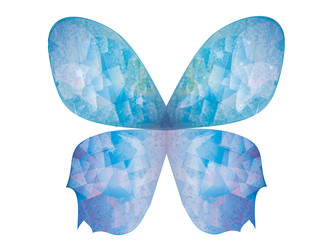 zarte blau schimmernde Schmetterlingsflügel