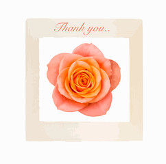 Thank you card design, beautiful rose in wooden frame
