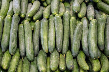 Organic cucumbers freshly harvested on a market counter